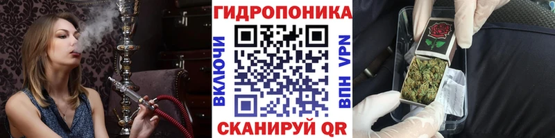 Канабис SATIVA & INDICA hydra как зайти Каменногорск